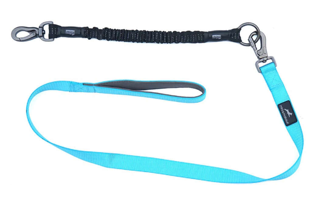 Bungee Dog Lead - Miro & Makauri Anti Shock lead attachment, 30cm, black colour, flexible design.