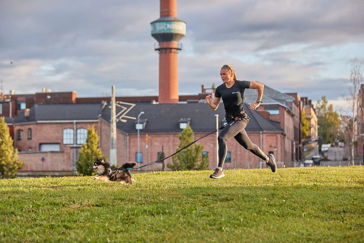 Non-Stop dogwear Touring Bungee Dog lead by Non-Stop dogwear