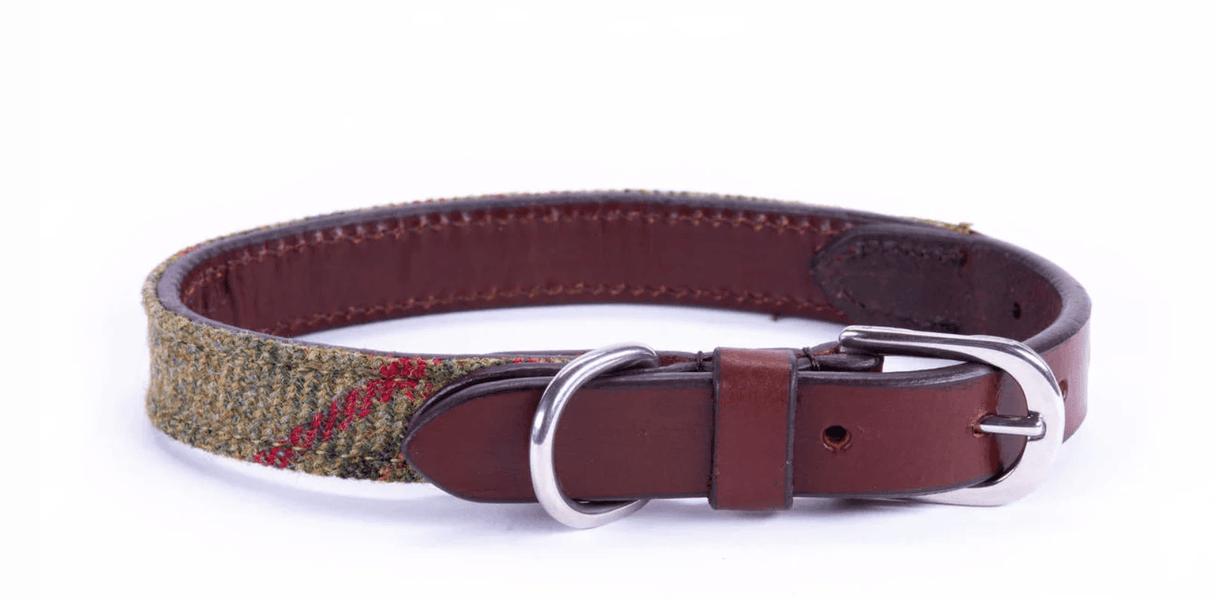Dapper Dog Tweed Dog Collar by Leadingdog
