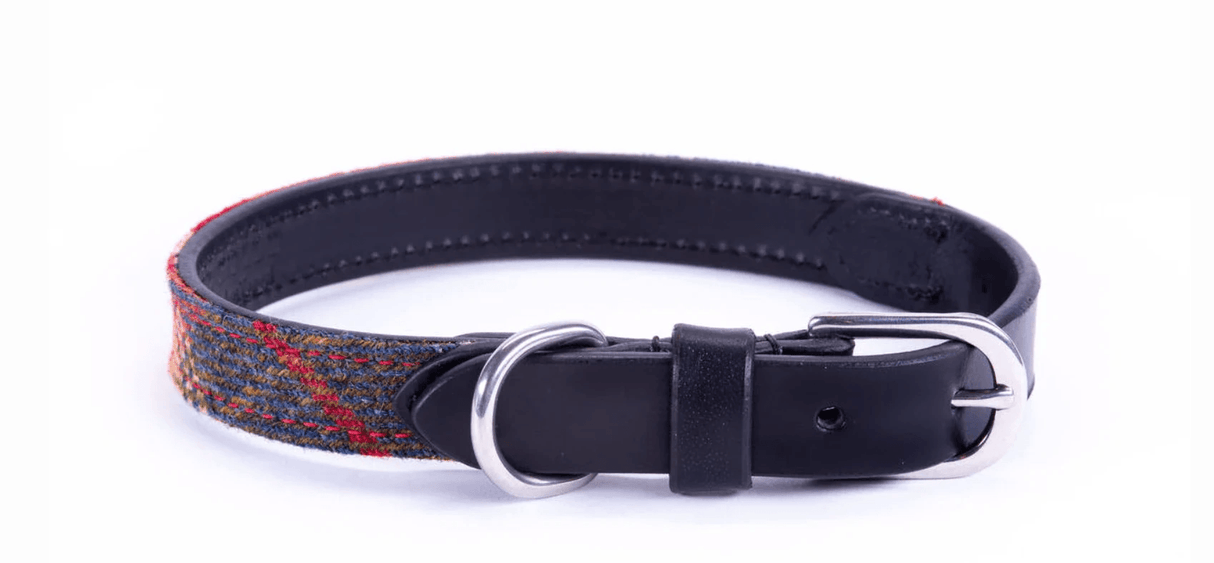 Dapper Dog Tweed Dog Collar by Leadingdog