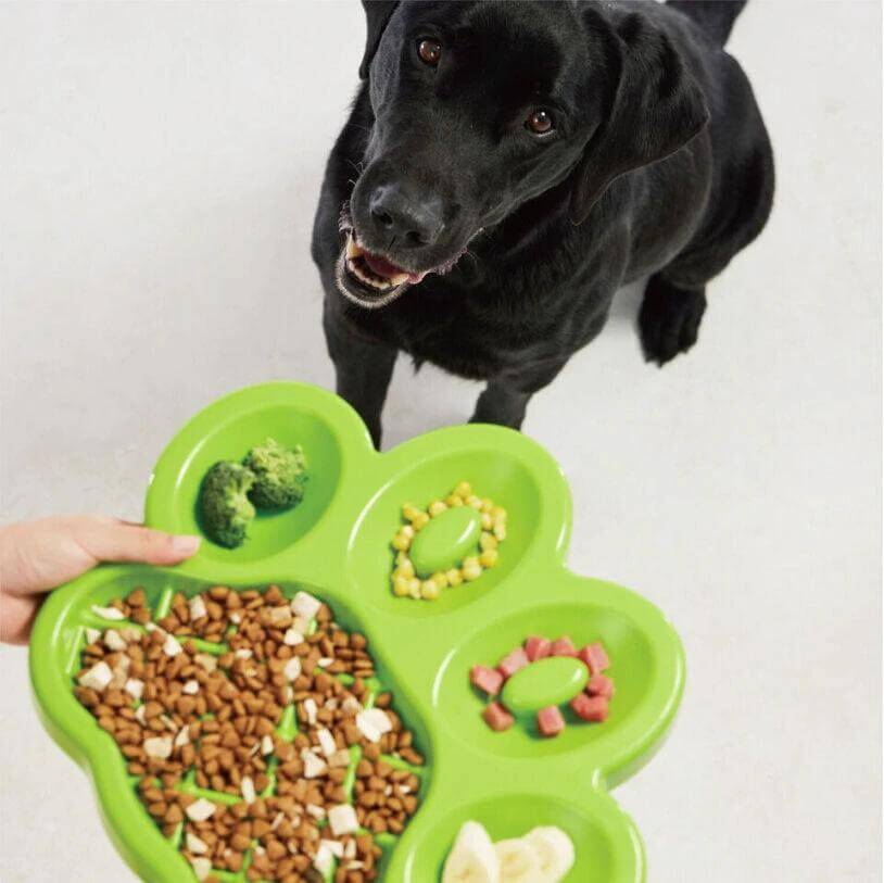 PAW Planet Slow Feeder Easy by PetDreamHouse