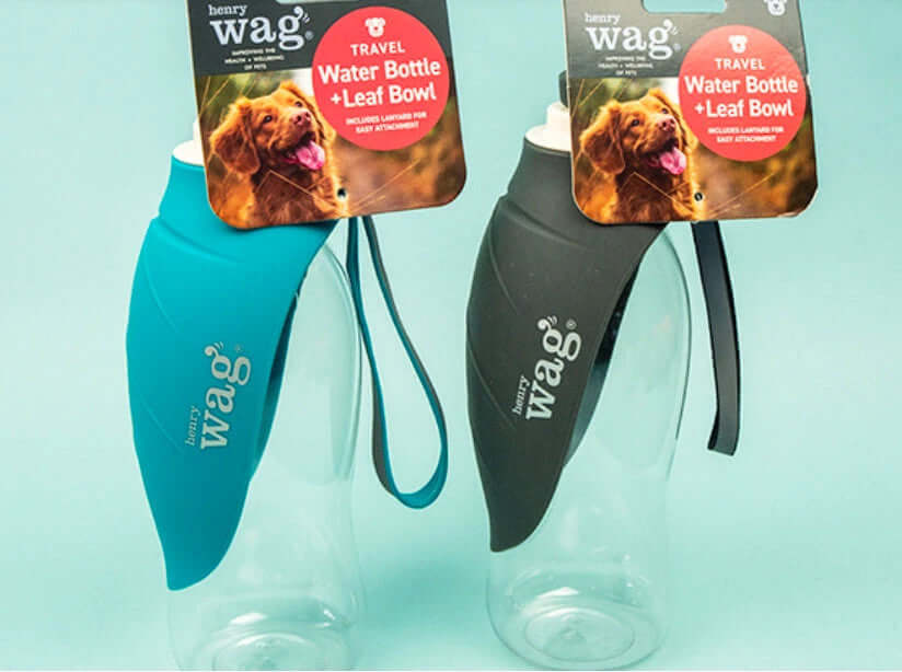 Henry Wag Water Bottle With Leaf Bowl 500ml Capacity Fold Out Bowl In Two Colours by Henry Wag