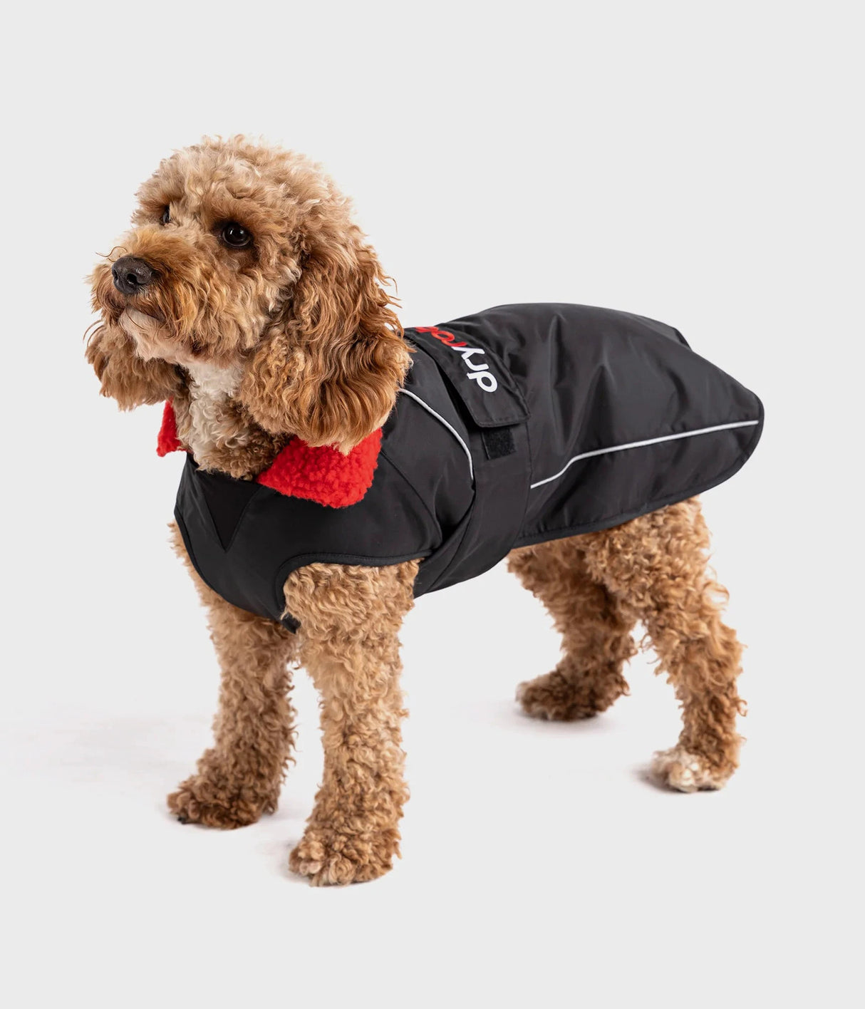 The Dryrobe Dog Jacket - waterproof and wind-resistant by Dryrobe