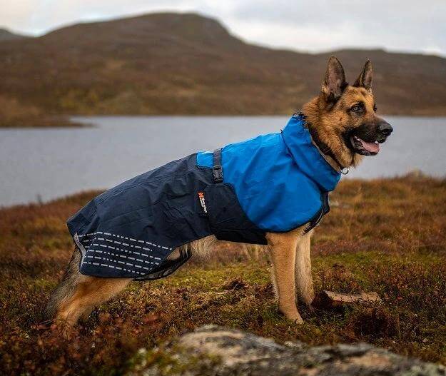 Non-stop dogwear Fjord raincoat for dogs by Non-Stop dogwear