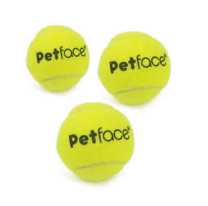 Pack of 3 Tennis Balls by Petface