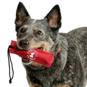 Canvas Training Dummy Medium by Company of Animals