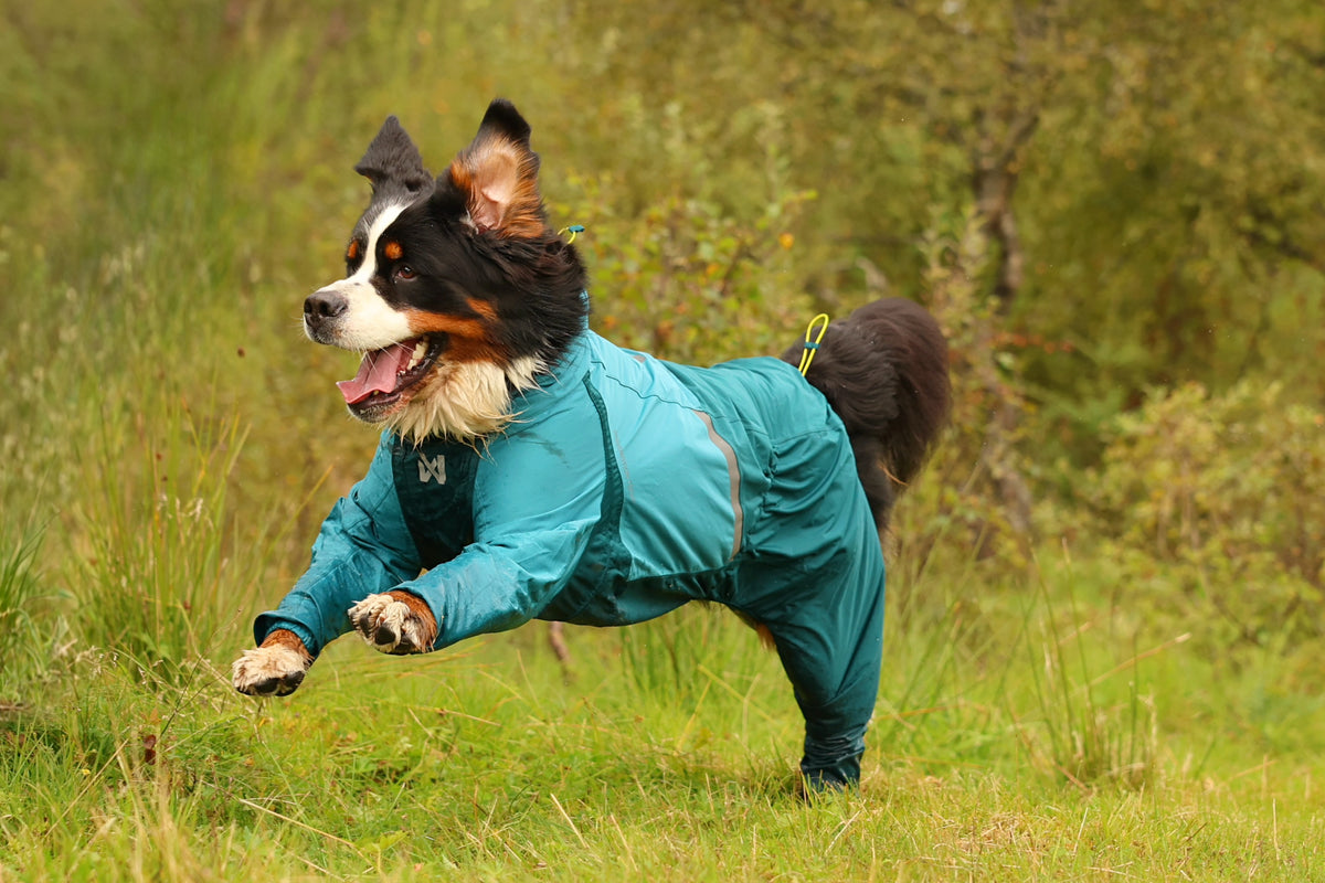 Non-stop dogwear Fjord overall raincoat