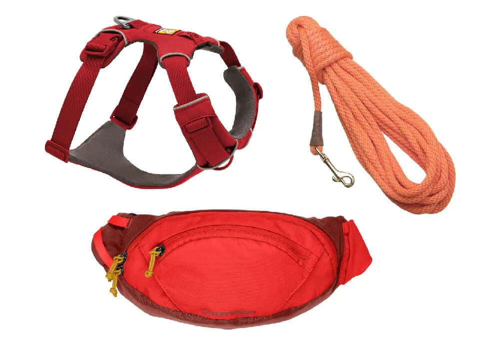 Buy and Save - Dog Training Set in a choice of colours by Leadingdog