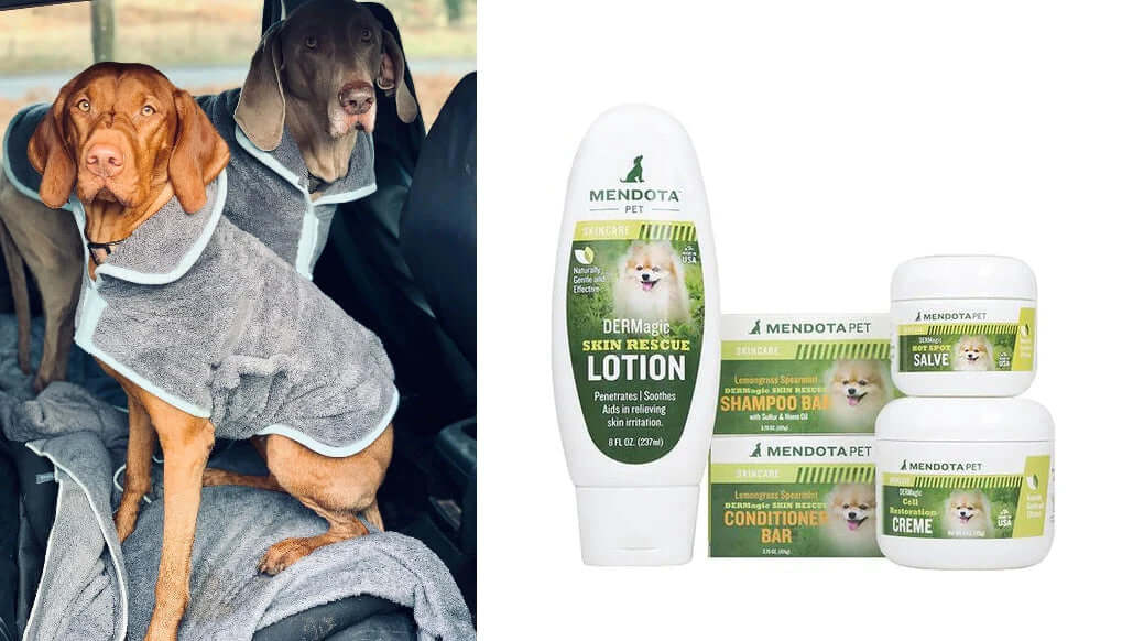 Buy and Save - Ultimate Dog Wash and Dry by Leadingdog
