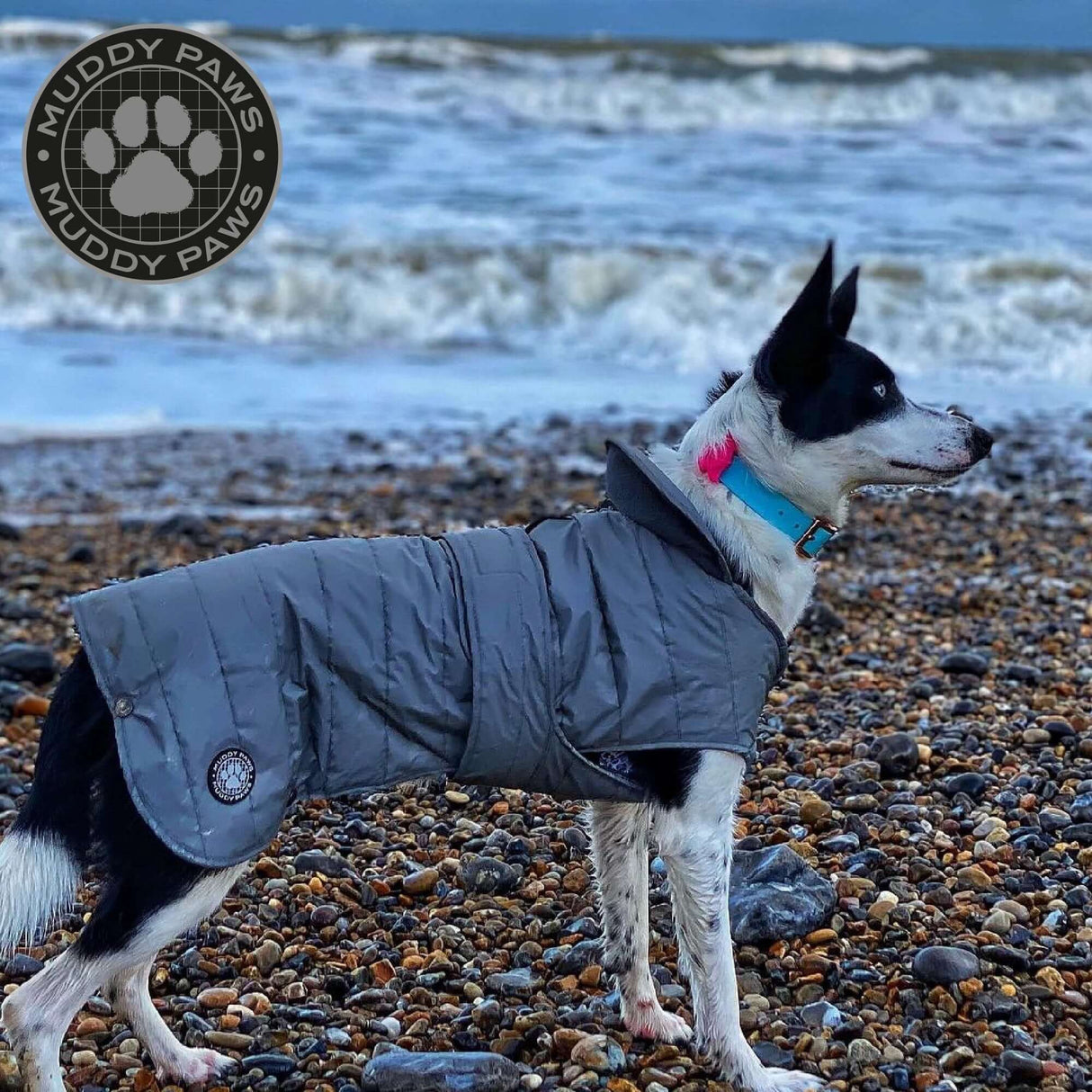 Ancol Ultimate Fully Reflective Water Resistant Dog Jacket With Fleece Lining Chest Protector And Harness Slot by Ancol