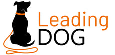 Ruffwear Cooling products | Leadingdog