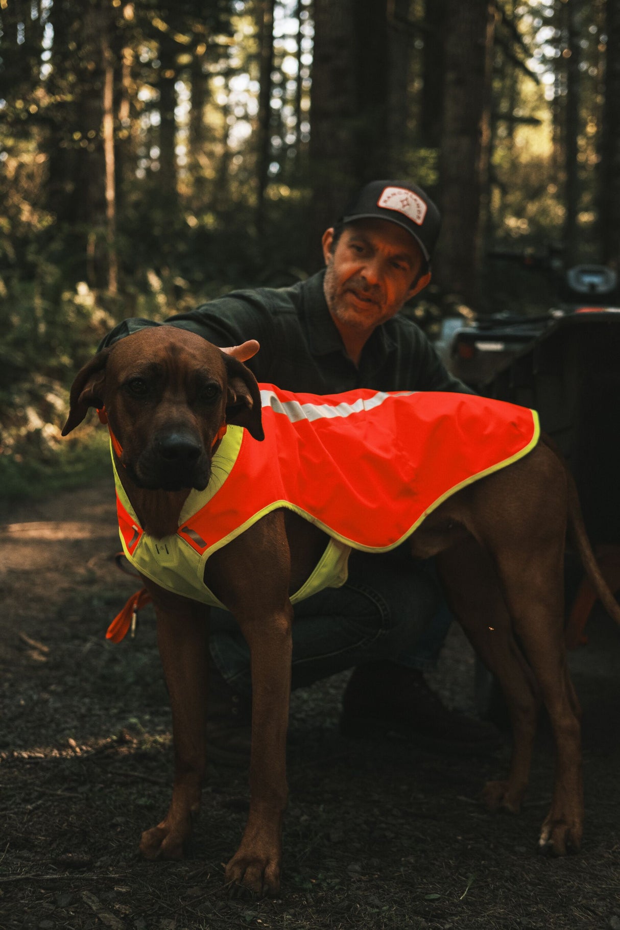 Ruffwear Lumenglow High-Vis Dog Vest Jacket
