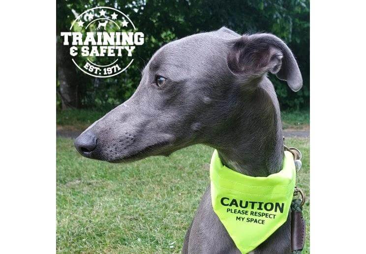Warning Bandana For Dogs Signaling Space For Nervous Or In Training Pets To Prevent Unwanted Petting By Passersby by Ancol