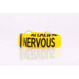 Nervous Snap Collar by Dog Friendly Collars Color Coded Dog Personality System with Neoprene Padding by Friendly Dog Company