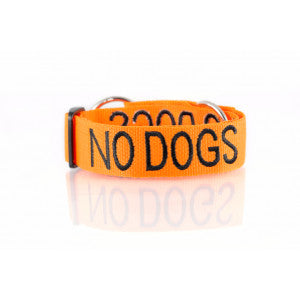 No Dogs Snap Collar by Dog Friendly Collars