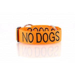 No Dogs Snap Collar By Dog Friendly Collars Neoprene Padded Colour Coded Collar For Dog Personality by Friendly Dog Company
