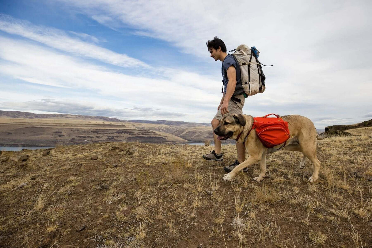 Ruffwear Palisades Dog Backpack by Ruffwear