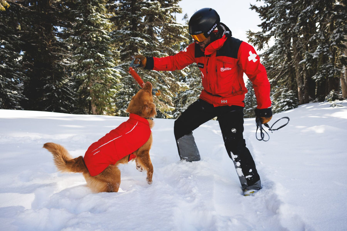 Ruffwear Powder Hound Waterproof Insulated Vest