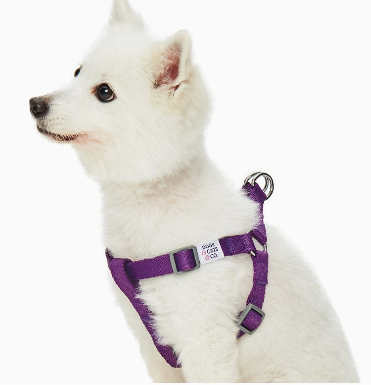 Dogs & Cats & Co. Classic Solid Color Dog Harness by Blueberry Pet