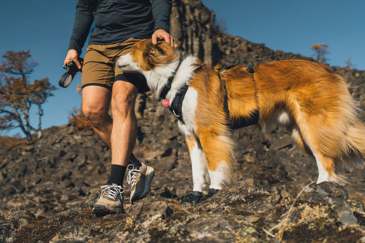 Ruffwear Ridgeline Shoe - Dog Boots set of 2
