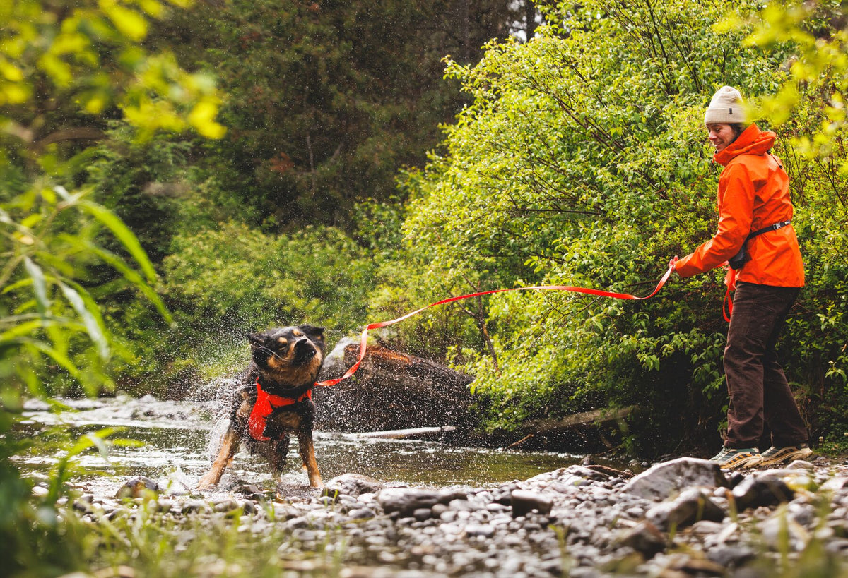 Ruffwear Rogue Long Line Long, Lightweight Secure Leash