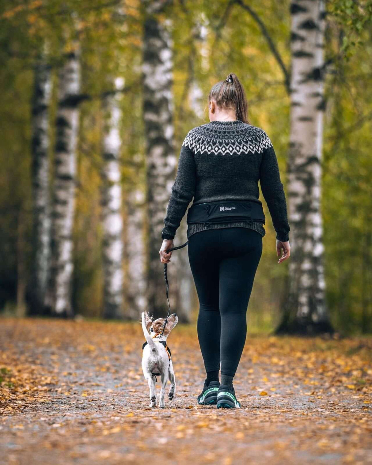 Non-stop dogwear Rush Belt by Non-Stop dogwear
