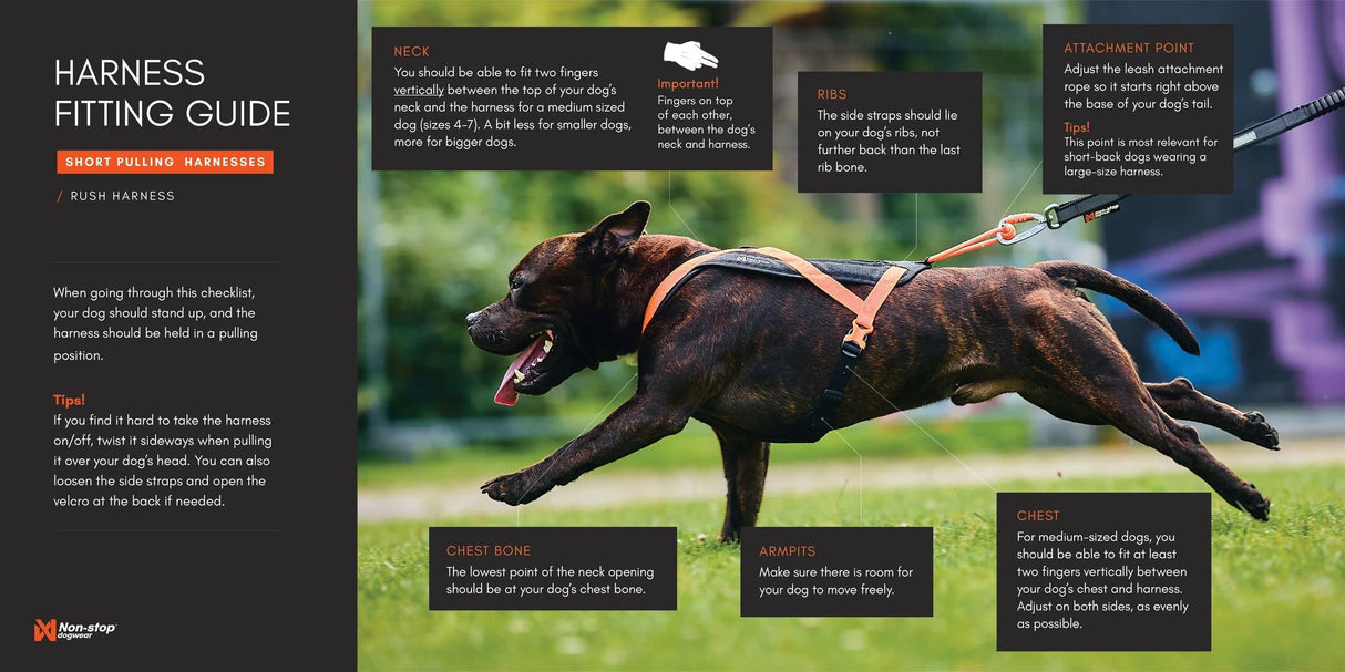 Non-stop dogwear Rush dog harness by Non-Stop dogwear