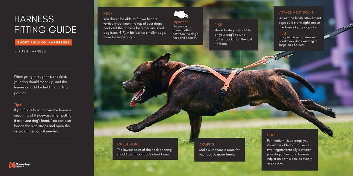 Non-stop dogwear Rush dog harness by Non-Stop dogwear