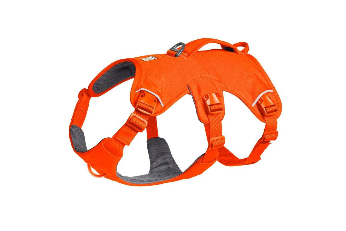 Ruffwear Web Master Harness - Dog Harness with Handle by Ruffwear