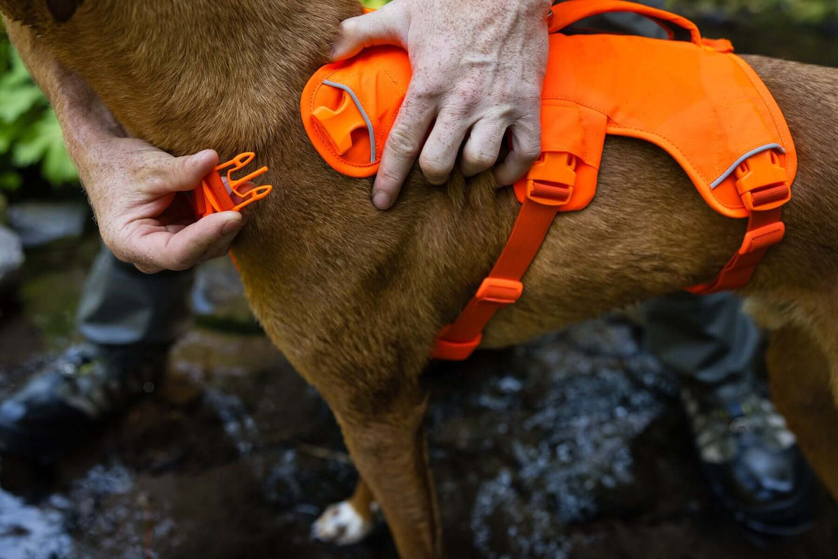 Ruffwear Web Master Harness - Dog Harness with Handle by Ruffwear
