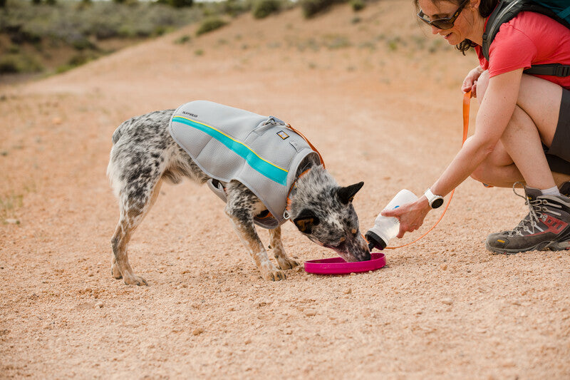 Ruffwear Camp Flyer Toy-Leadingdog