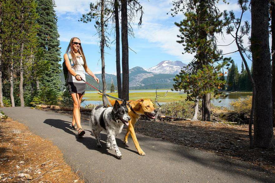 Ruffwear Double Track Dog Coupler - Walk two dogs tangle-free by Ruffwear