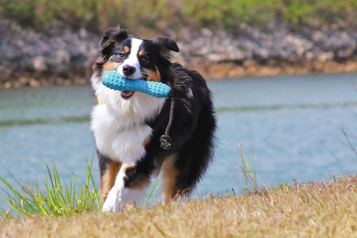 Ruffwear Gourdo Interactive Rubber throw Toy by Ruffwear