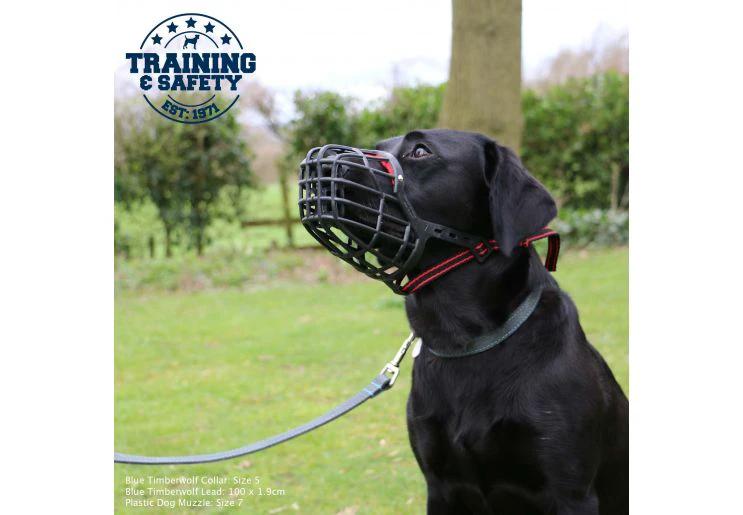 Ancol Plastic Muzzle For Dogs Comfortable Design For Nervous Or Aggressive Dogs Prevents Licking And Eating On Walks by Ancol