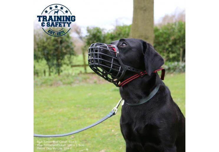 Ancol Plastic Muzzle For Dogs Comfortable Design For Nervous Or Aggressive Dogs Prevents Licking And Eating On Walks by Ancol