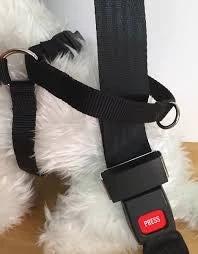 EasyRider Dog Car Harness - Crash Tested by EasyRider