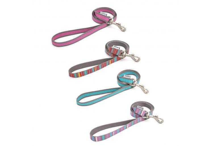 Dog Lead Made With 100 Percent Recycled Webbing From Post Consumer Plastic Bottles Snap Clip Strong And Secure by Ancol