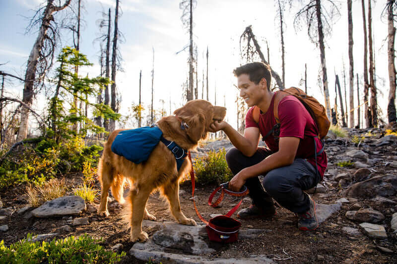 Ruffwear Front Range Day Pack - Dog harness with saddlebags by Ruffwear