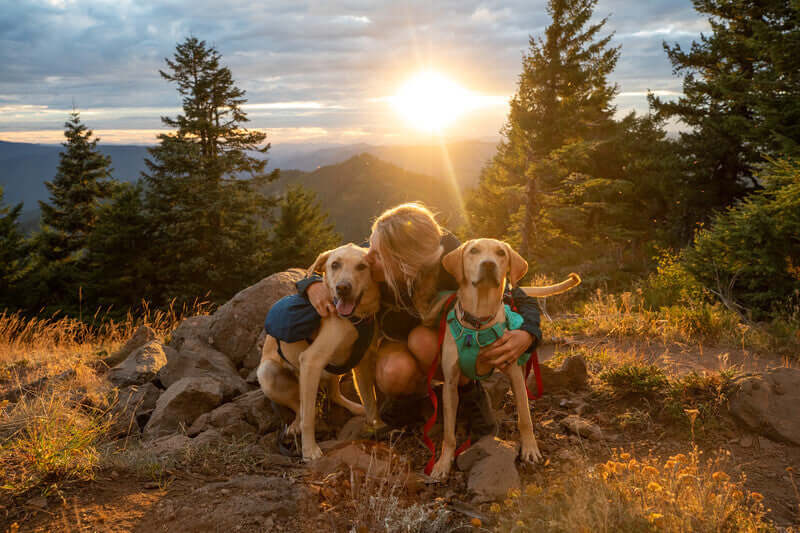 Ruffwear Front Range Day Pack - Dog harness with saddlebags by Ruffwear