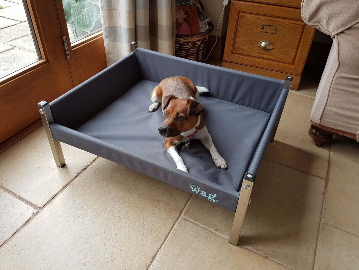 Henry Wag Elevated Dog Bed With Side Panels and 14cm Height For Air Circulation and Temperature Regulation Easy To Clean by Henry Wag