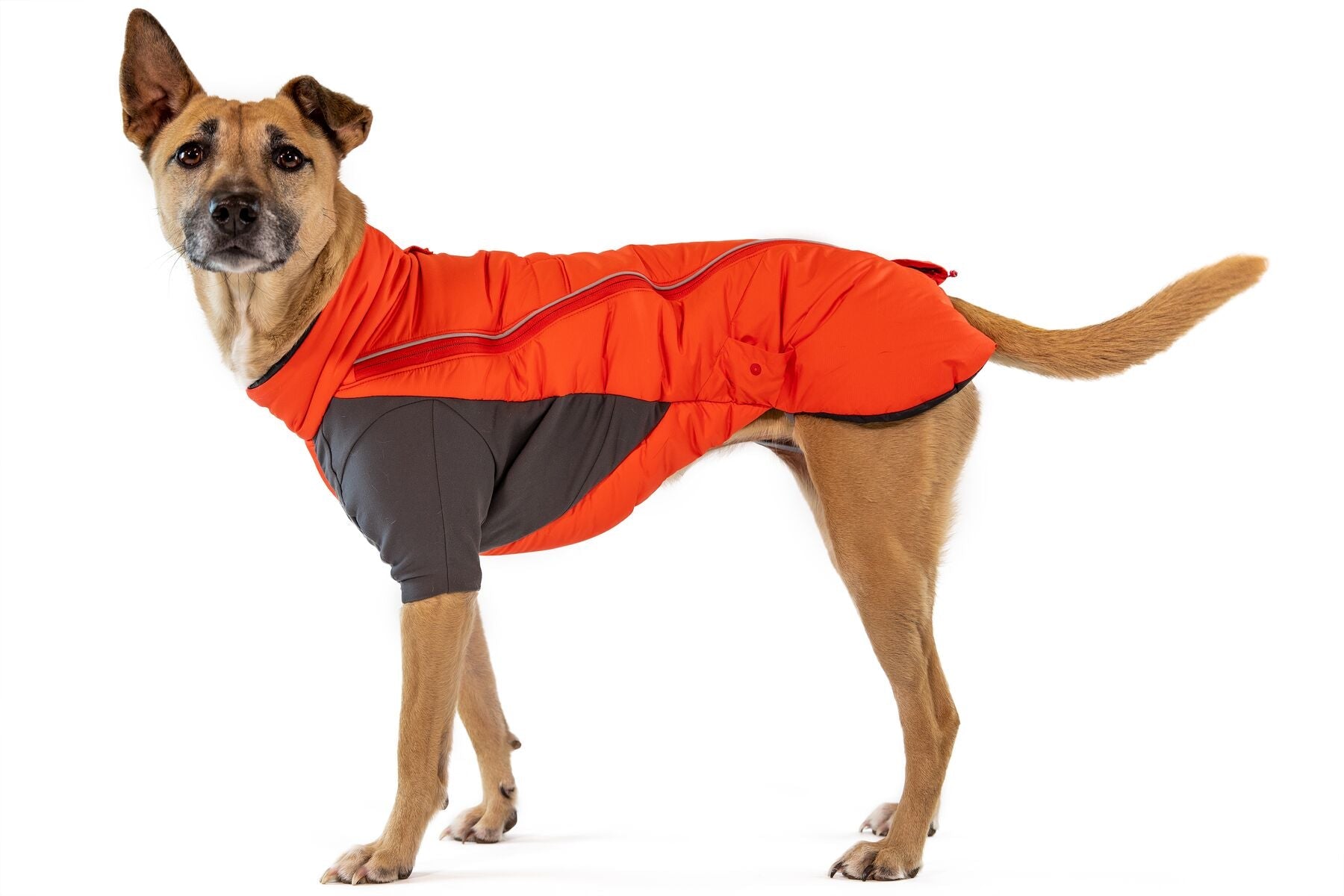 Ruffwear Furness Jacket with FREE Mendota snap lead-Leadingdog