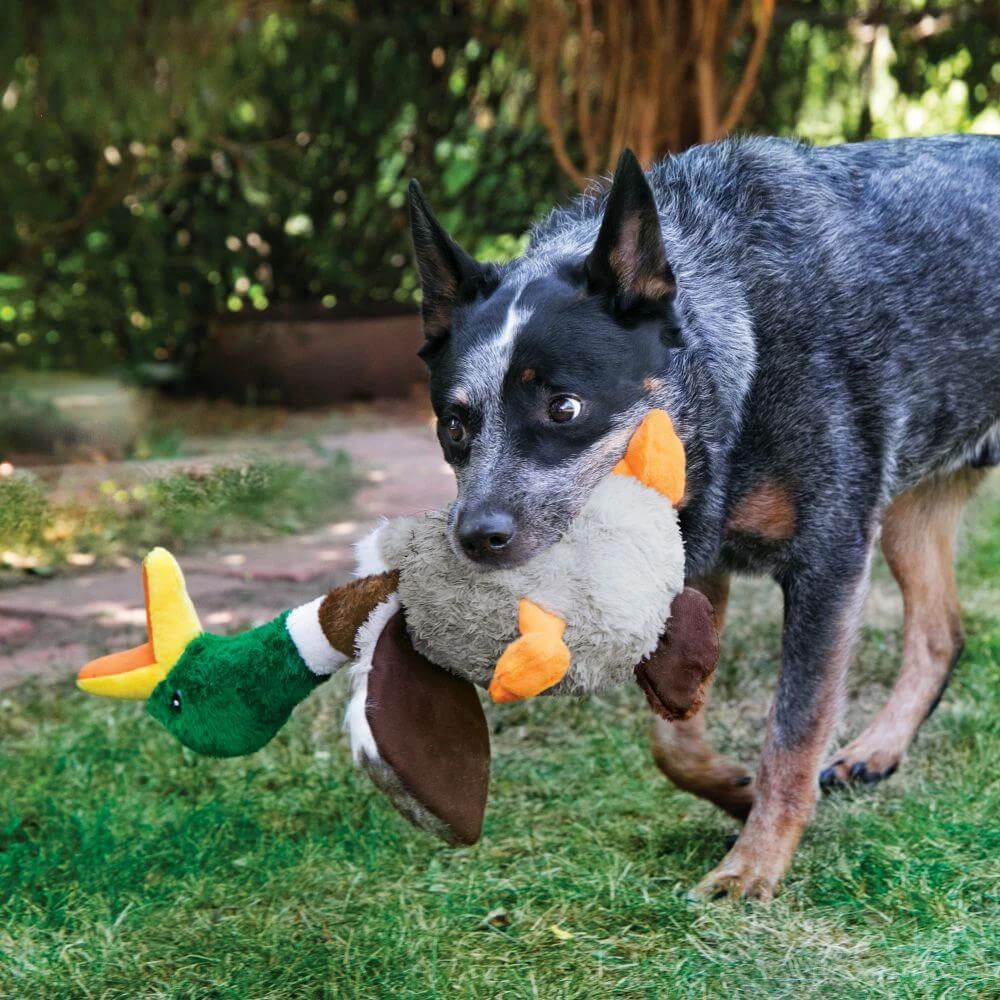 KONG Shakers Honkers Duck by KONG