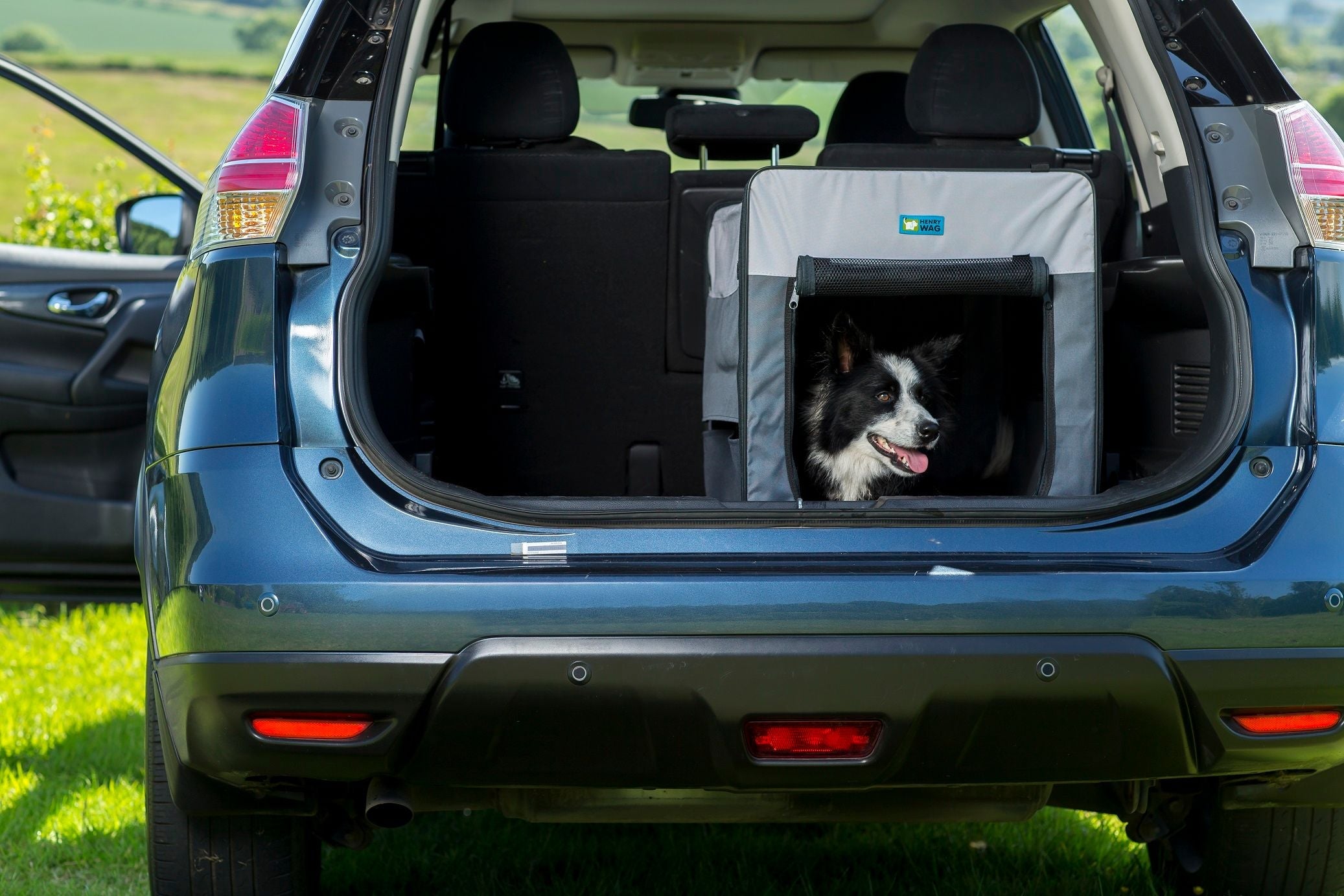 Henry Wag Folding Fabric Dog Travel Crate-Leadingdog