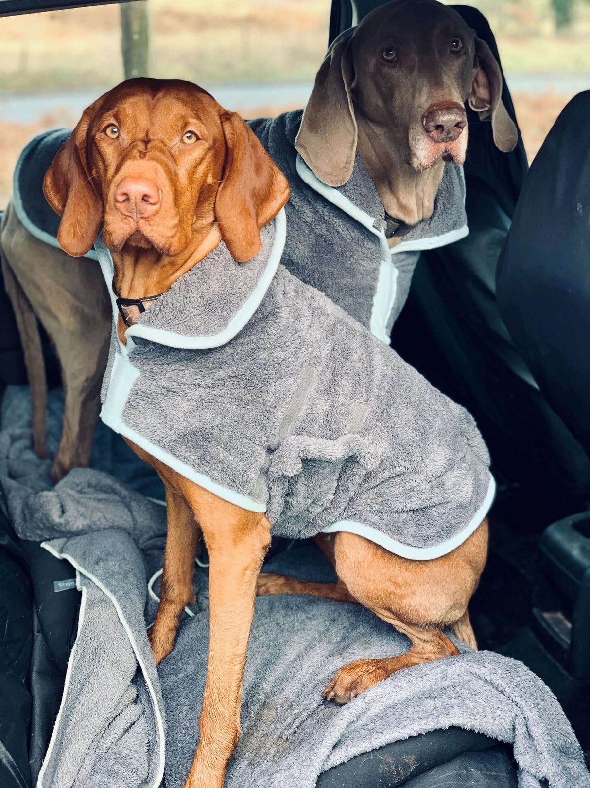 Henry Wag Microfibre Dog Drying Coat Absorbent After Wet Walks Muddy Water Bath Easy To Put On by Henry Wag