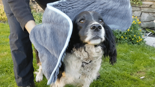 Henry Wag Microfibre Noodle Dog Drying Glove Towel Highly Absorbent Pet Bath Accessory For Quick Drying by Henry Wag