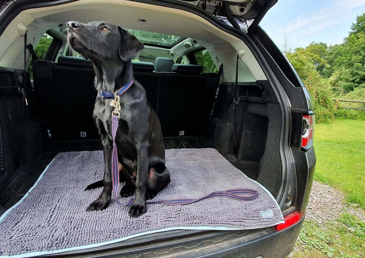 Henry Wag Noodle Highly Absorbent Pet Mat for Easy Drying by Henry Wag