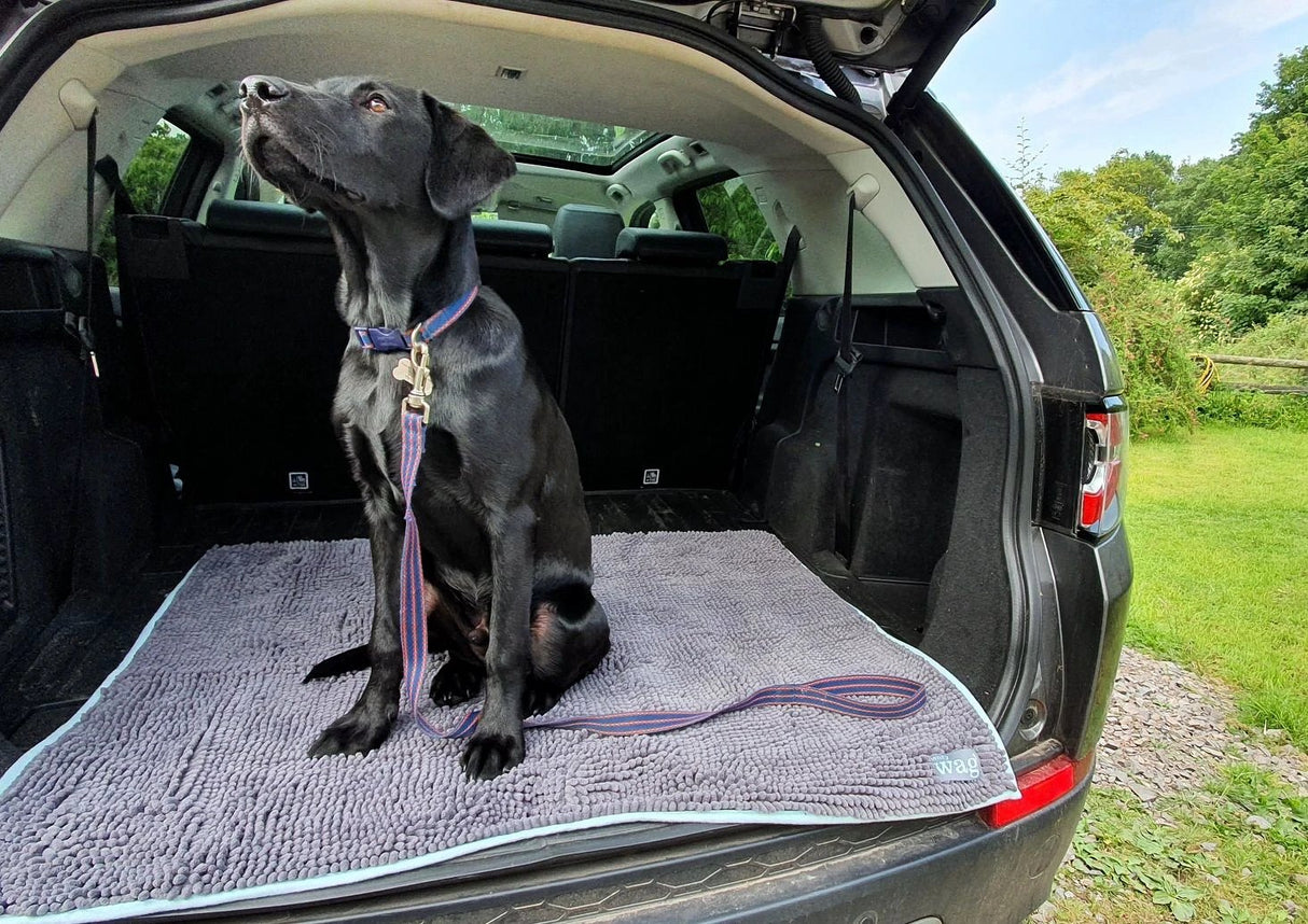 Henry Wag Noodle Highly Absorbent Pet Mat for Easy Drying by Henry Wag