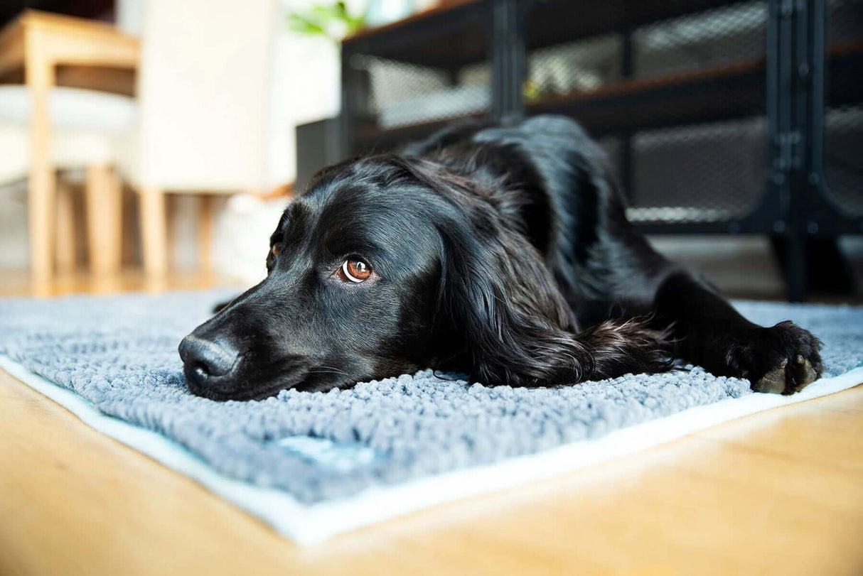 Henry Wag Noodle Highly Absorbent Pet Mat for Easy Drying by Henry Wag