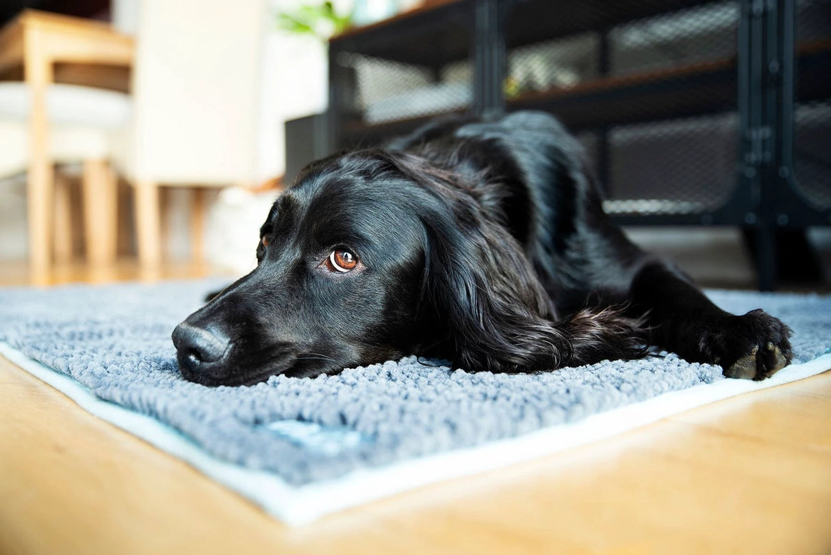 Henry Wag Noodle Highly Absorbent Pet Mat for Easy Drying by Henry Wag
