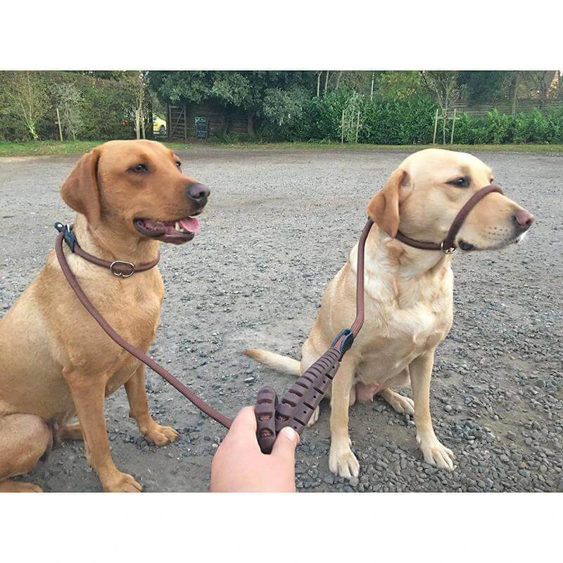 Miro & Makauri plain handle - Slip Dog Lead with Figure 8 Training Aid by Miro & Makauri